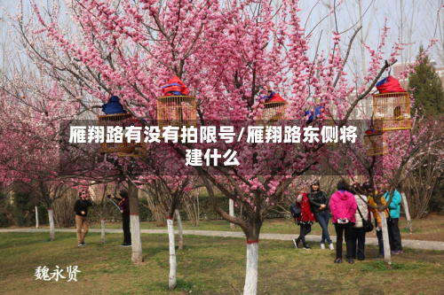 雁翔路有没有拍限号/雁翔路东侧将建什么
