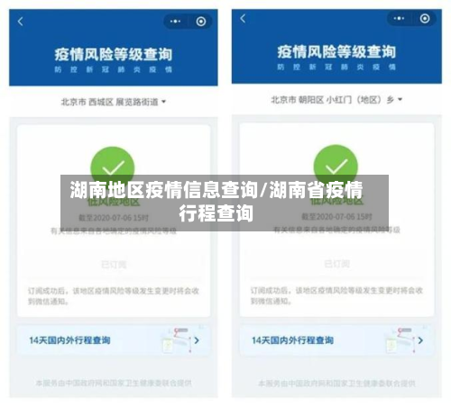 湖南地区疫情信息查询/湖南省疫情行程查询-第3张图片