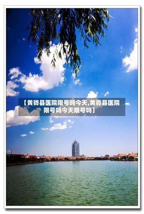 【黄骅县医院限号吗今天,黄骅县医院限号吗今天限号吗】-第3张图片