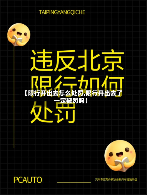 【限行开出去怎么处罚,限行开出去了一定被罚吗】-第3张图片