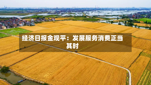 经济日报金观平:发展服务消费正当其时-第2张图片