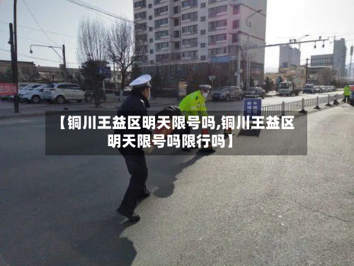 【铜川王益区明天限号吗,铜川王益区明天限号吗限行吗】-第2张图片