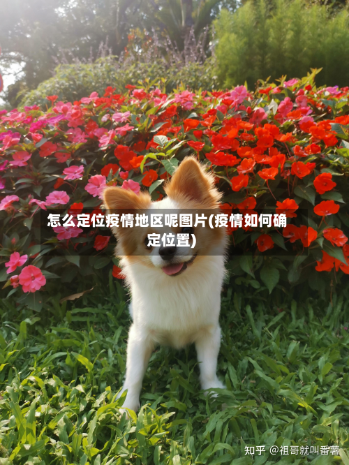 怎么定位疫情地区呢图片(疫情如何确定位置)