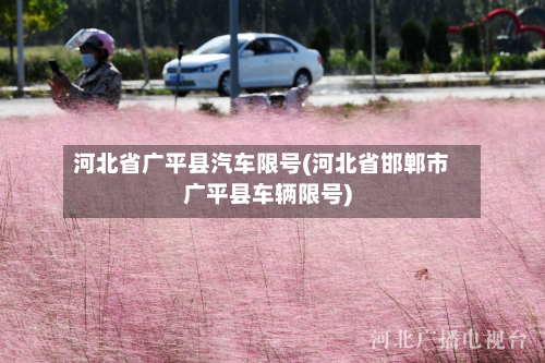 河北省广平县汽车限号(河北省邯郸市广平县车辆限号)