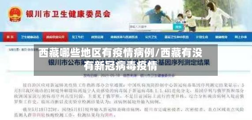 西藏哪些地区有疫情病例/西藏有没有新冠病毒疫情-第3张图片
