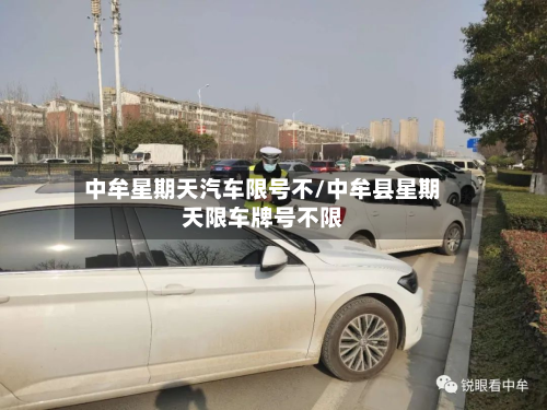 中牟星期天汽车限号不/中牟县星期天限车牌号不限