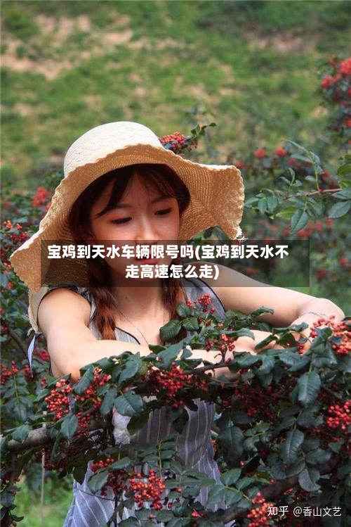 宝鸡到天水车辆限号吗(宝鸡到天水不走高速怎么走)-第2张图片