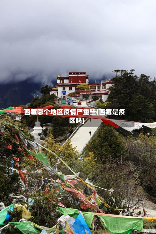 西藏哪个地区疫情严重些(西藏是疫区吗)