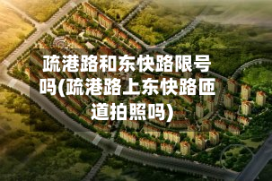 疏港路和东快路限号吗(疏港路上东快路匝道拍照吗)-第2张图片