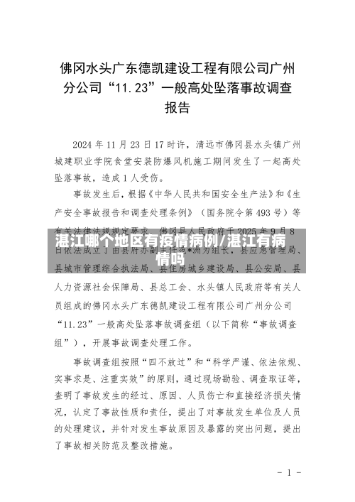 湛江哪个地区有疫情病例/湛江有病情吗-第2张图片