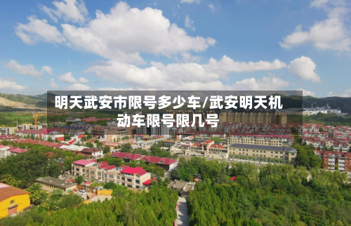 明天武安市限号多少车/武安明天机动车限号限几号-第2张图片