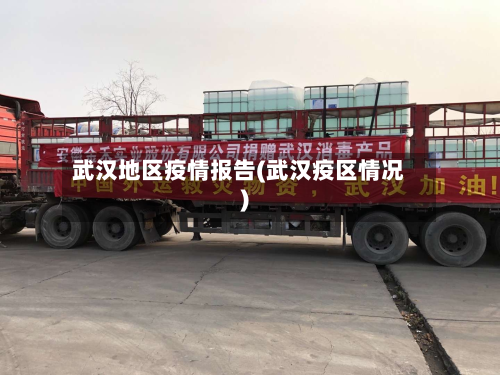 武汉地区疫情报告(武汉疫区情况)-第2张图片