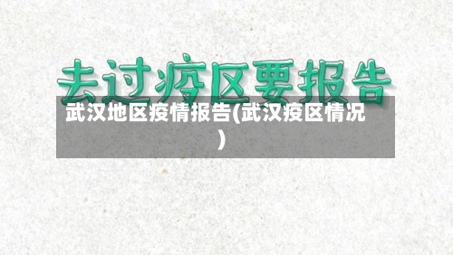 武汉地区疫情报告(武汉疫区情况)