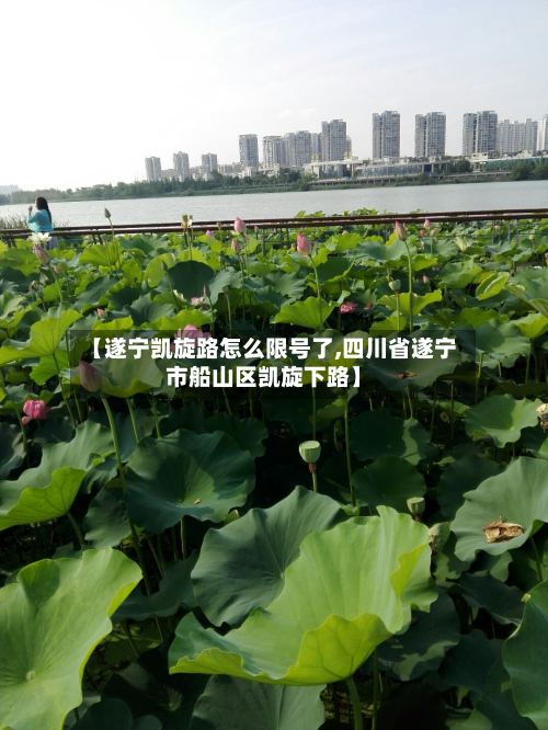 【遂宁凯旋路怎么限号了,四川省遂宁市船山区凯旋下路】-第2张图片