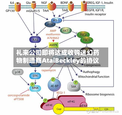 礼来公司即将达成收购迷幻药物制造商AtaiBeckley的协议