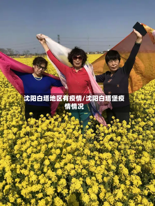 沈阳白塔地区有疫情/沈阳白塔堡疫情情况-第2张图片