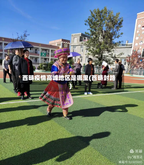 西畴疫情高峰地区是哪里(西畴封路)