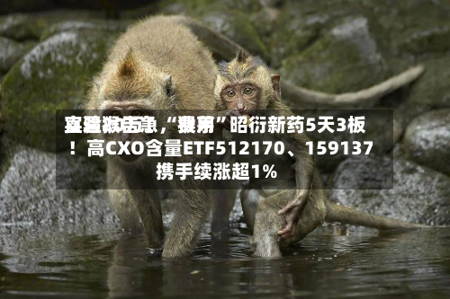 实验猴告急，费用直逼20万！“猴茅”昭衍新药5天3板！高CXO含量ETF512170、159137携手续涨超1%