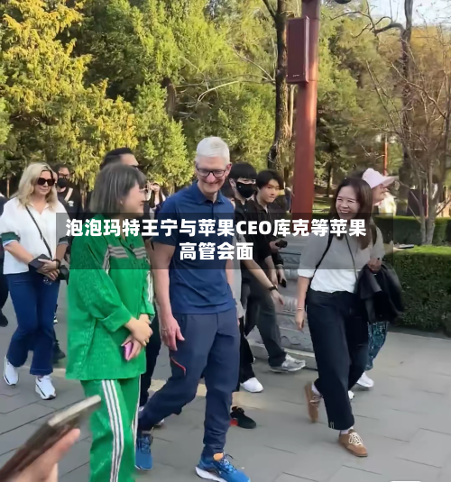 泡泡玛特王宁与苹果CEO库克等苹果高管会面