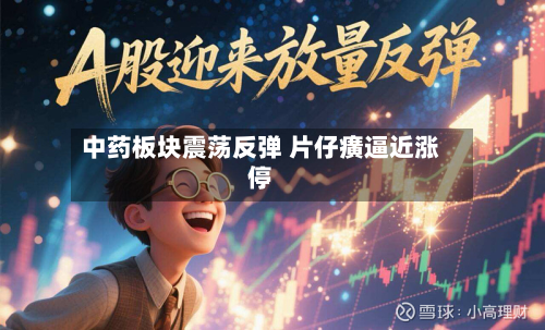 中药板块震荡反弹 片仔癀逼近涨停-第2张图片