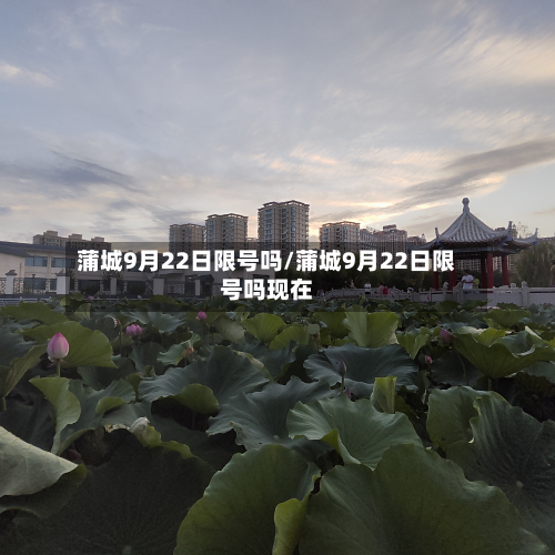 蒲城9月22日限号吗/蒲城9月22日限号吗现在-第2张图片
