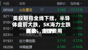美股期指全线下挫	，半导体盘前大跌，SK海力士跌超6%，世界油价	、金银费用齐跌-第2张图片