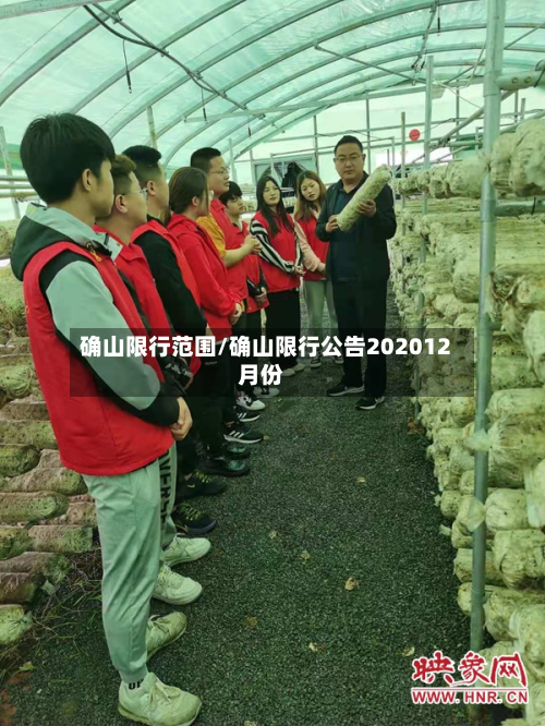 确山限行范围/确山限行公告202012月份