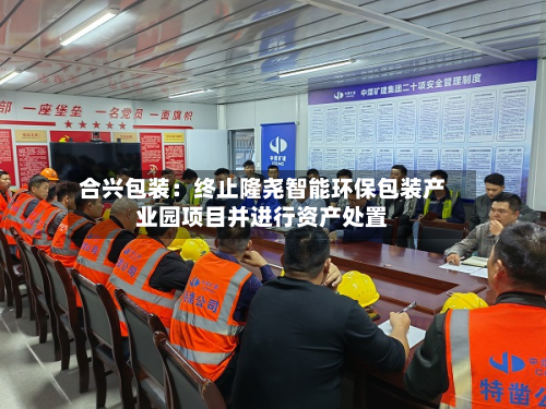 合兴包装：终止隆尧智能环保包装产业园项目并进行资产处置-第2张图片