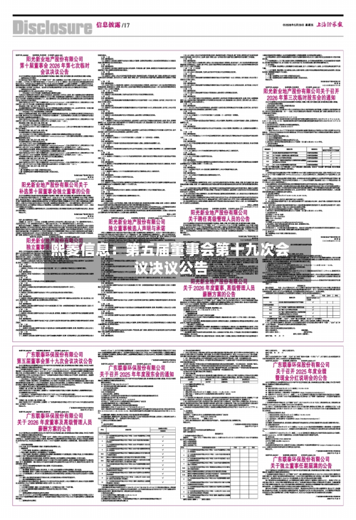 熙菱信息：第五届董事会第十九次会议决议公告-第2张图片