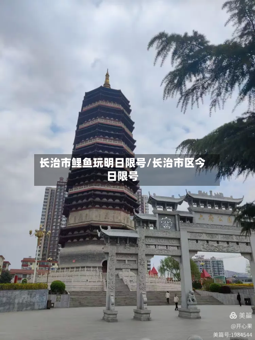 长治市鲤鱼玩明日限号/长治市区今日限号