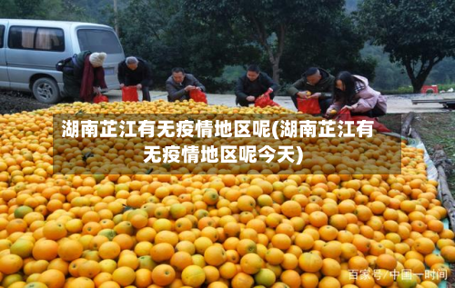 湖南芷江有无疫情地区呢(湖南芷江有无疫情地区呢今天)-第3张图片