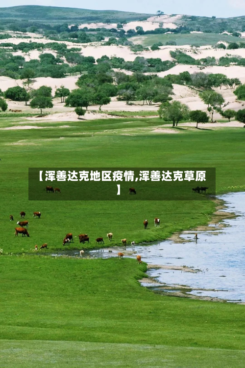 【浑善达克地区疫情,浑善达克草原】