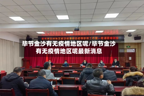 毕节金沙有无疫情地区呢/毕节金沙有无疫情地区呢最新消息-第2张图片
