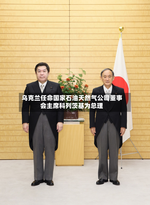 乌克兰任命国家石油天然气公司董事会主席科列茨基为总理