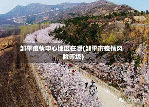 邹平疫情中心地区在哪(邹平市疫情风险等级)-第2张图片