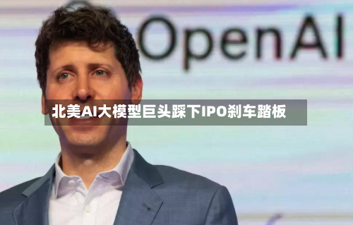 北美AI大模型巨头踩下IPO刹车踏板