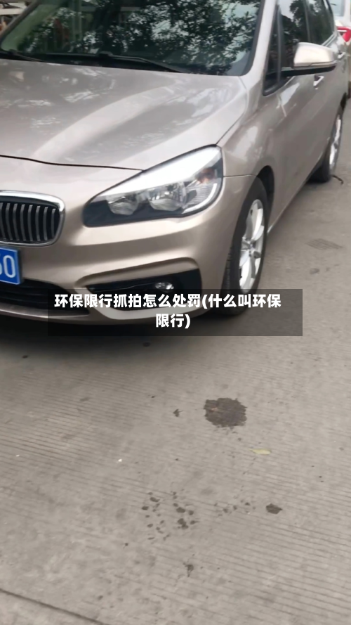环保限行抓拍怎么处罚(什么叫环保限行)