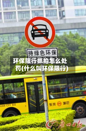环保限行抓拍怎么处罚(什么叫环保限行)-第2张图片