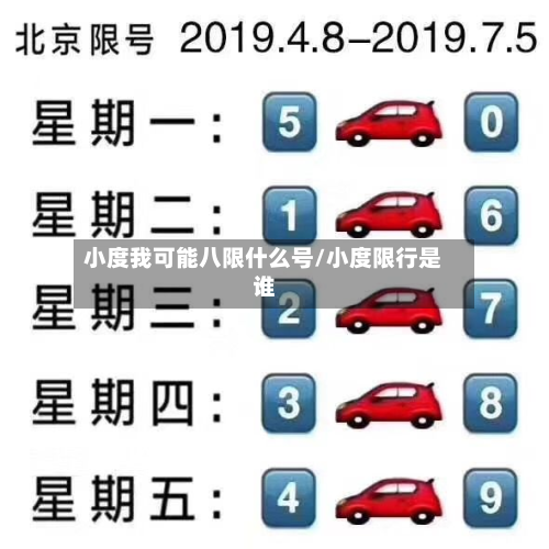 小度我可能八限什么号/小度限行是谁-第3张图片