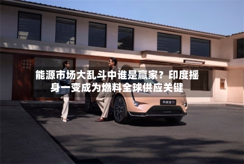 能源市场大乱斗中谁是赢家?印度摇身一变成为燃料全球供应关键-第1张图片