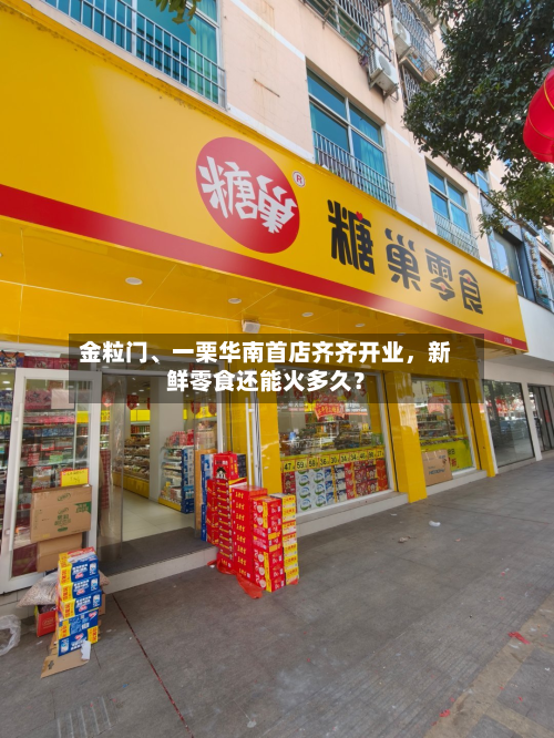 金粒门	、一栗华南首店齐齐开业，新鲜零食还能火多久？-第3张图片