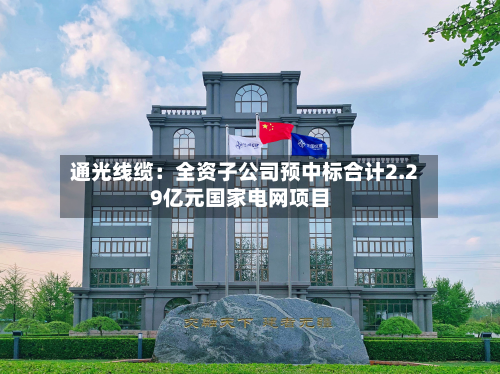 通光线缆:全资子公司预中标合计2.29亿元国家电网项目