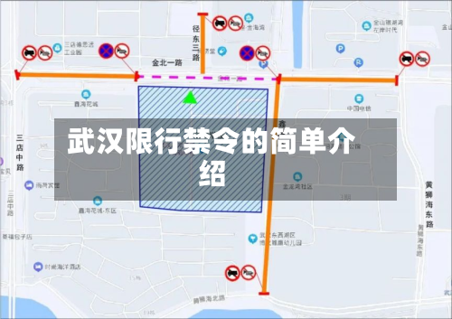 武汉限行禁令的简单介绍