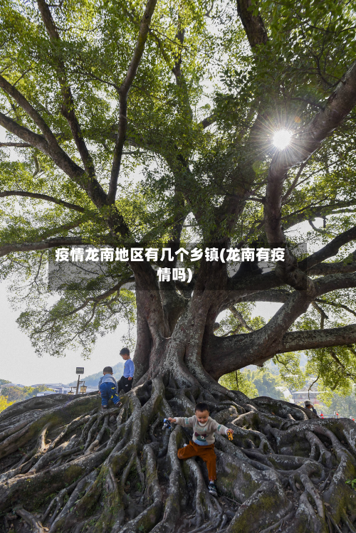 疫情龙南地区有几个乡镇(龙南有疫情吗)