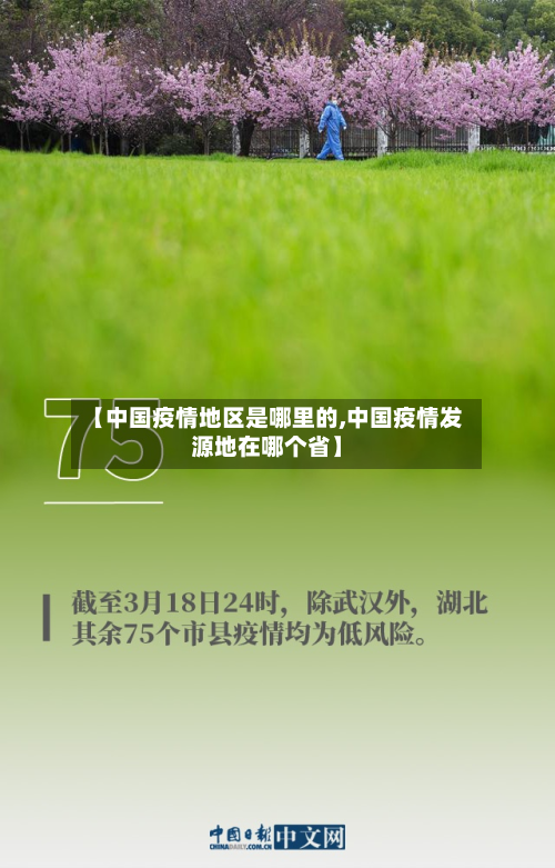 【中国疫情地区是哪里的,中国疫情发源地在哪个省】