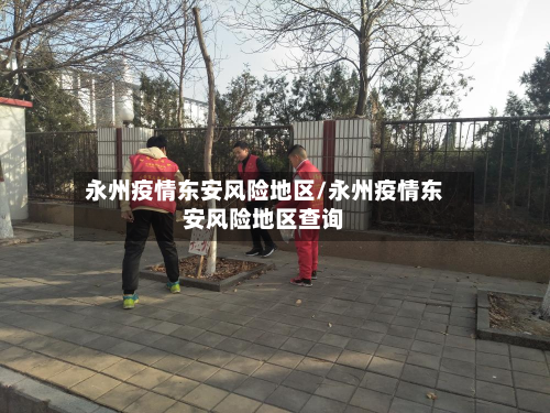 永州疫情东安风险地区/永州疫情东安风险地区查询-第2张图片