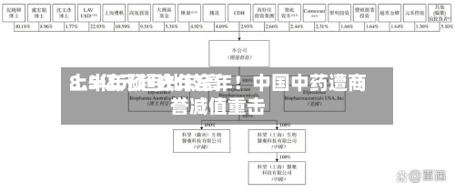 上半年预亏比较高8.5亿元超去年全年！中国中药遭商誉减值重击-第2张图片