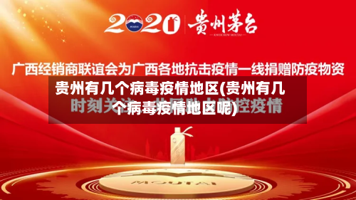贵州有几个病毒疫情地区(贵州有几个病毒疫情地区呢)-第2张图片