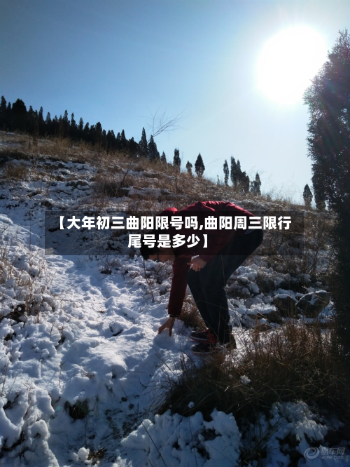 【大年初三曲阳限号吗,曲阳周三限行尾号是多少】