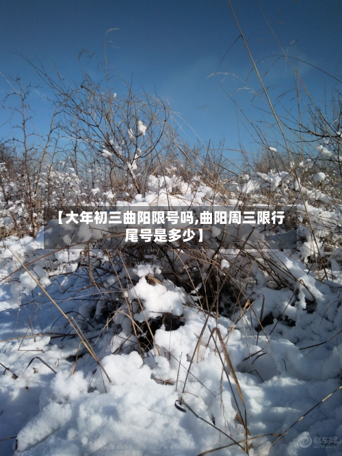 【大年初三曲阳限号吗,曲阳周三限行尾号是多少】-第2张图片